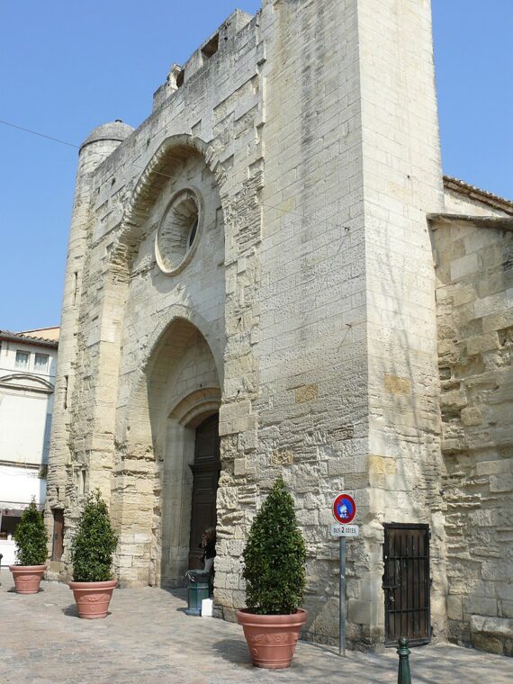 Private Tour in Aigues Mortes