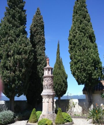 Private Tour in Gassin