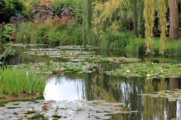 monet gardens